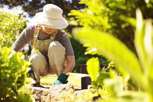 Tree removal service in Neasden for residential and commercial properties