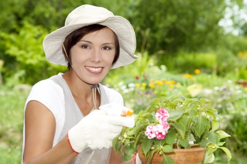 Professional tree care and pruning in Neasden urban landscape