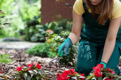 Keyboard navigation and accessible browsing for Neasden tree surgery services